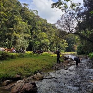 Nacimiento Río Medellín - Sábado 24 enero