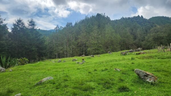 MINAS A VERSALLES - DOMINGO 20 DE JULIO - Image 6