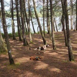 Embalse Río Grande 2 - domingo 23 de noviembre