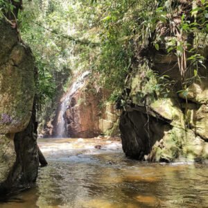 El Retiro - sábado 22 de noviembre