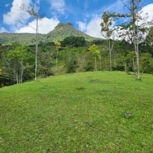 San Carlos - Domingo 22 marzo