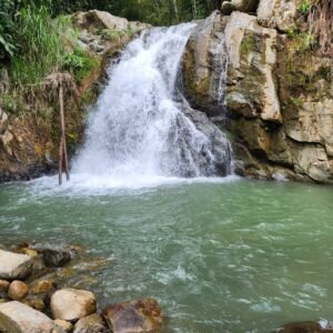 Barbosa - Sábado 21 febrero