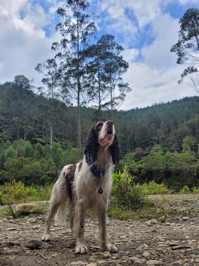 Foto 3 - 2026