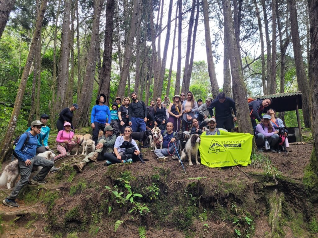 Foto 3 - 2023