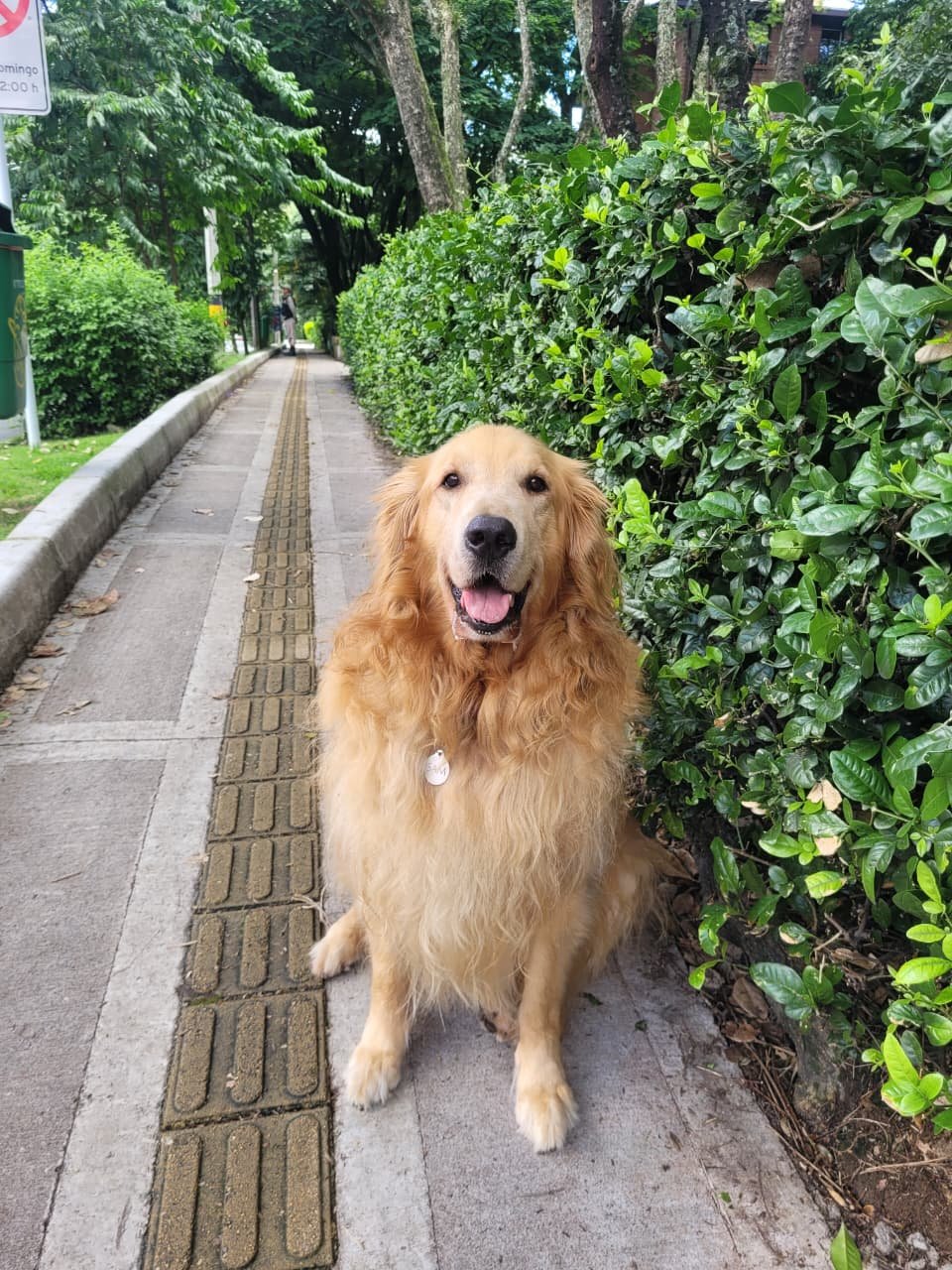 SAM