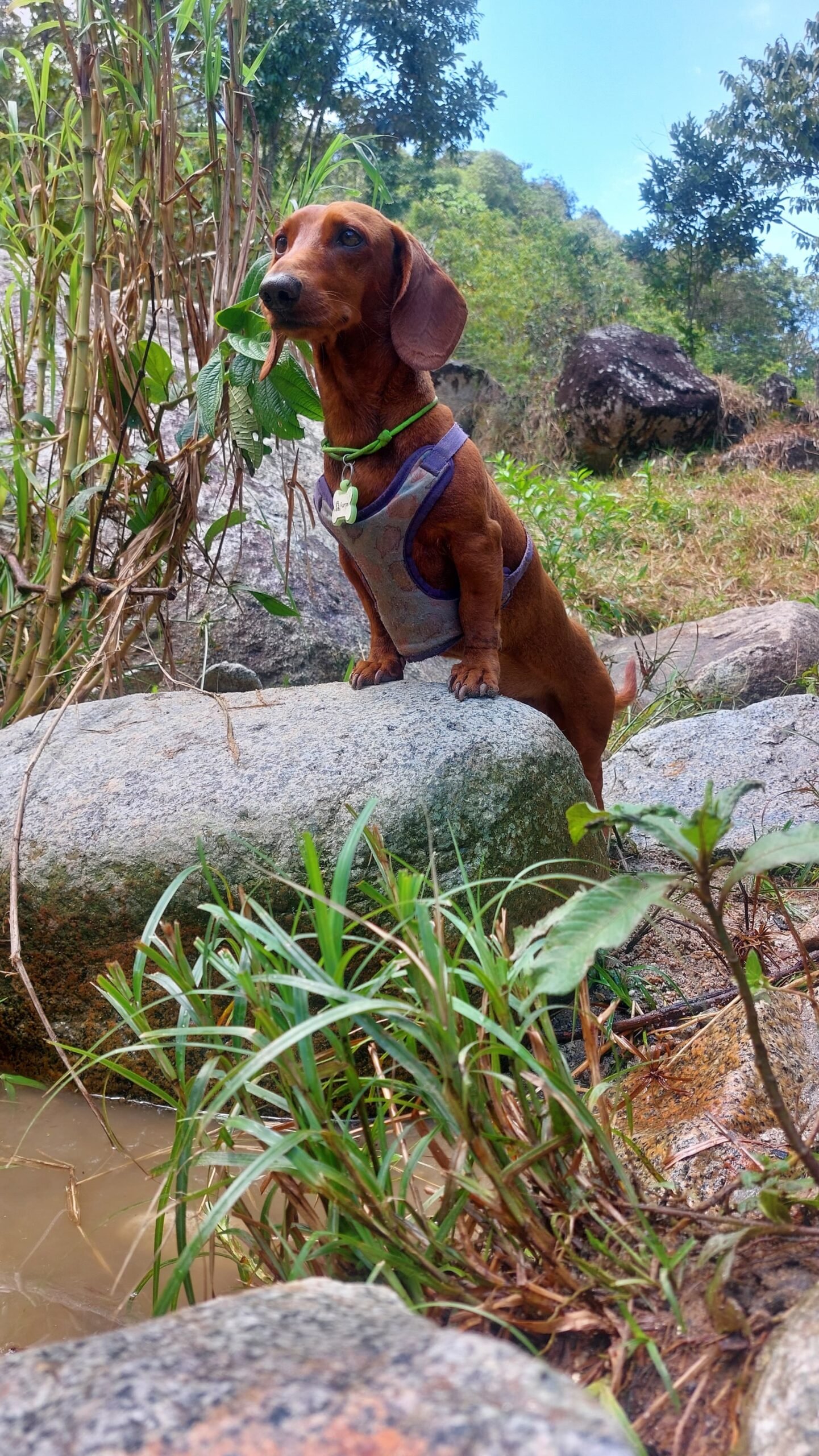 Ramón