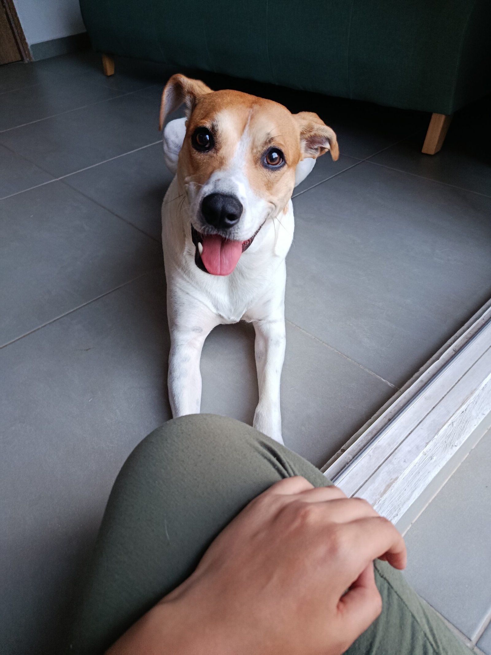 Loky