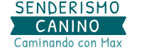 Logo horizontal